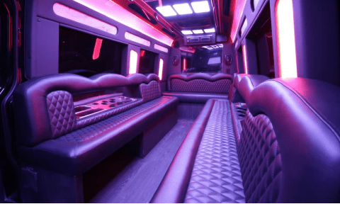 Boca Raton 14 Passenger Sprinter Bus Interior